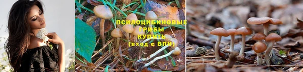 амф Волосово
